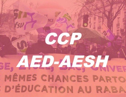 CCP AED-AESH du vendredi 1er juin 2018