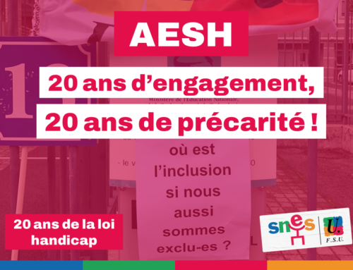 20 ans de loi 2005 : quel bilan pour les AESH ?