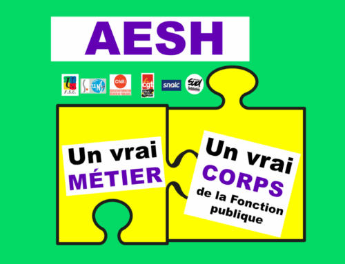 AESH : un vrai métier, un vrai corps de fonctionnaire !