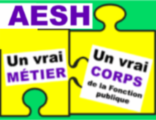 AESH : un vrai métier, un vrai corps de fonctionnaire !