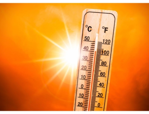 Canicule : vos droits, nos interventions