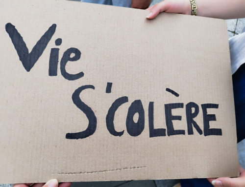 Les vies scolaires sont en colère : une semaine de mobilisations, temps fort le 19 juin !