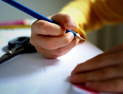 DNB : quels aménagements pour les corrections ?